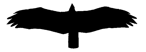 A. Rough-legged hawk B. Golden eagle C. Turkey vulture